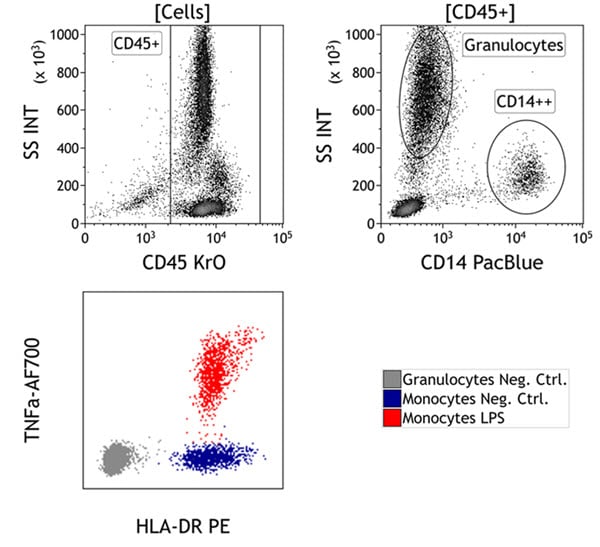 C21858_DURAClone IF Monocyte Activation Tube, 25 Tests, RUO